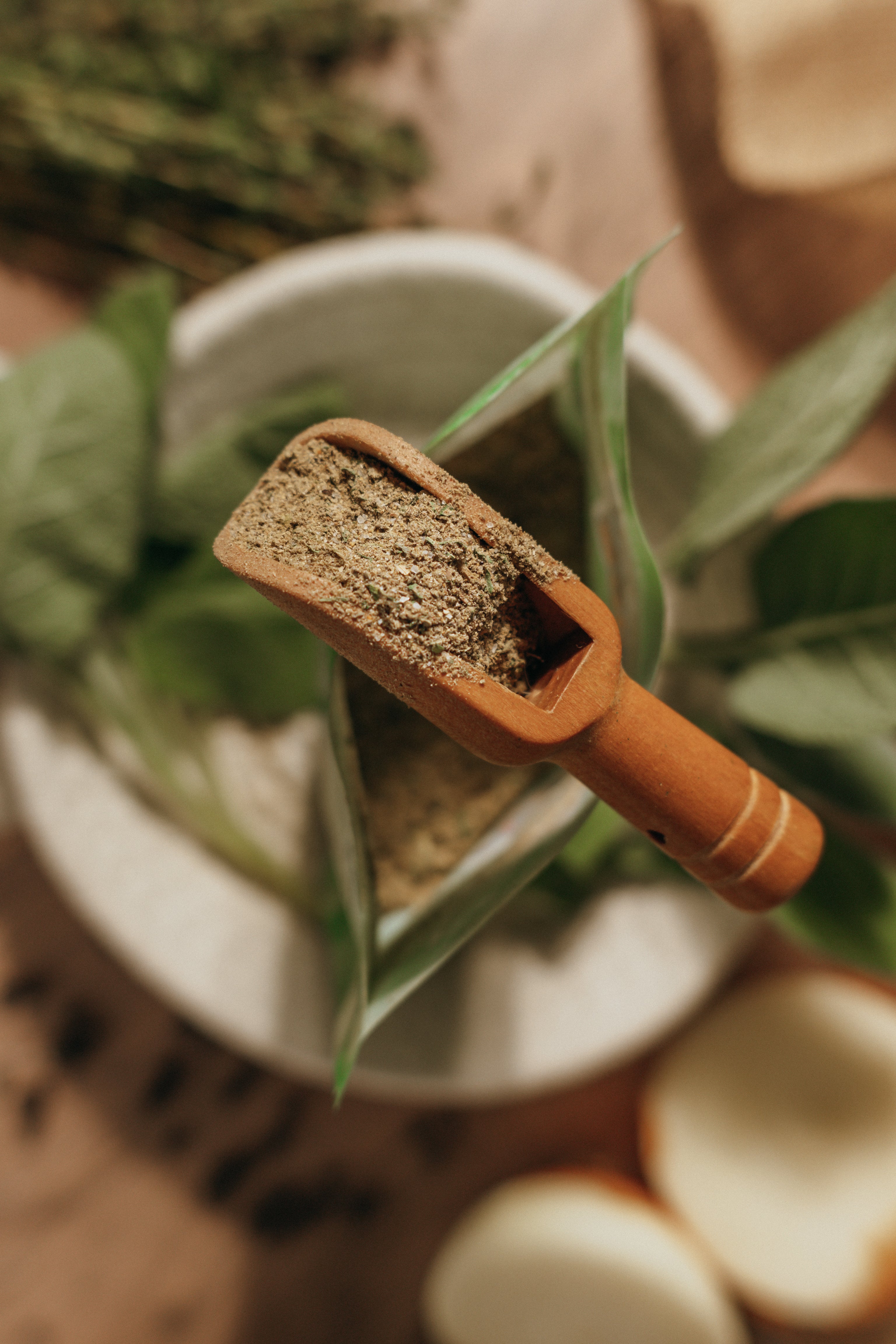 Garlic Herb Seasoning